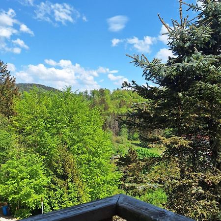 Haus Westharz Goslar Apartment Бад Грунд Екстериор снимка