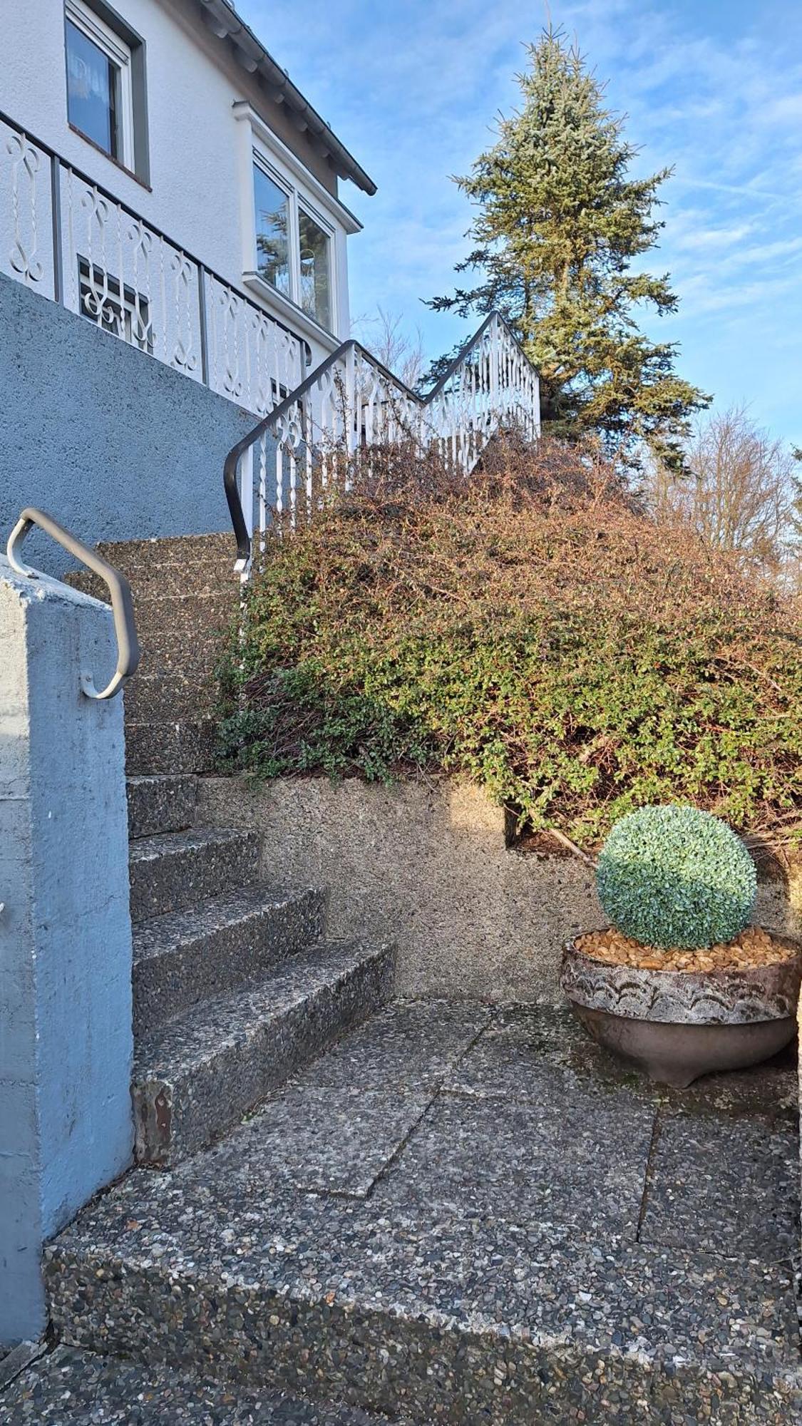 Haus Westharz Goslar Apartment Бад Грунд Екстериор снимка