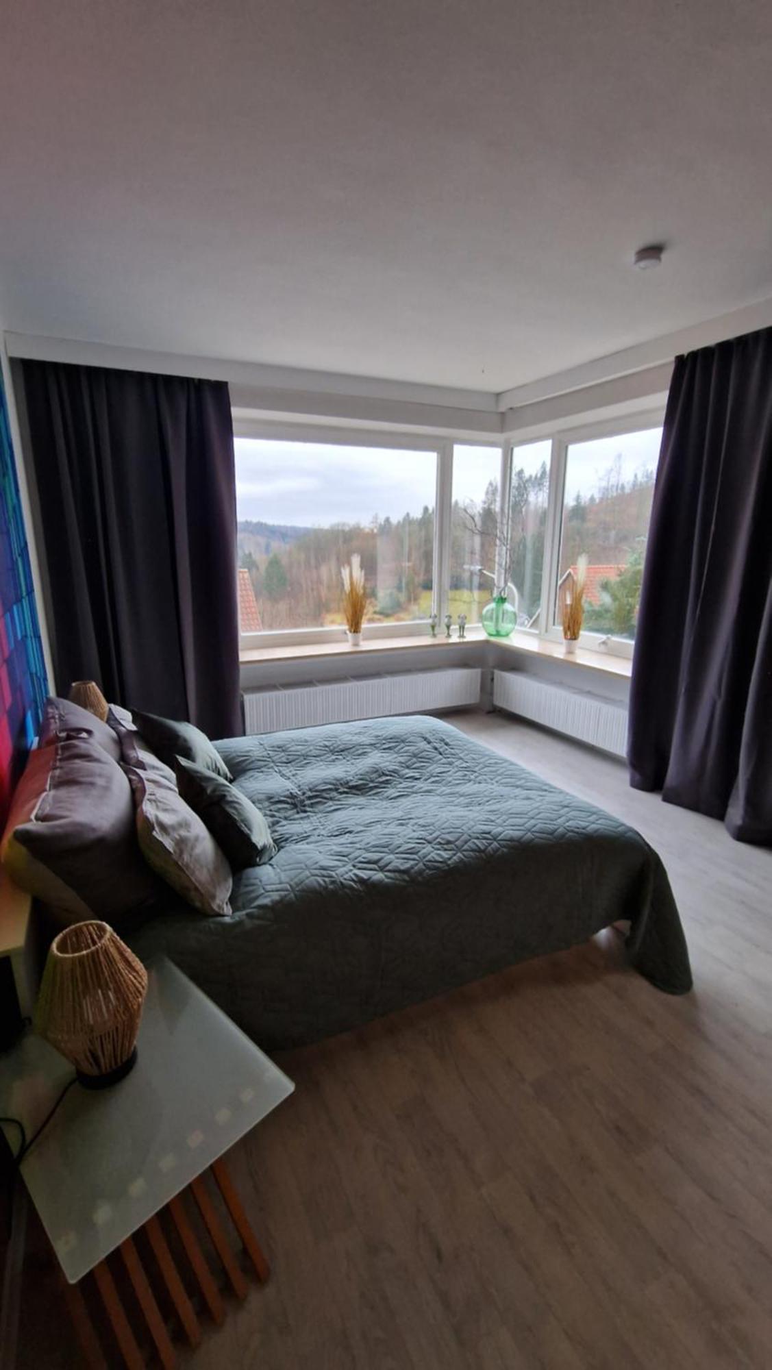 Haus Westharz Goslar Apartment Бад Грунд Екстериор снимка