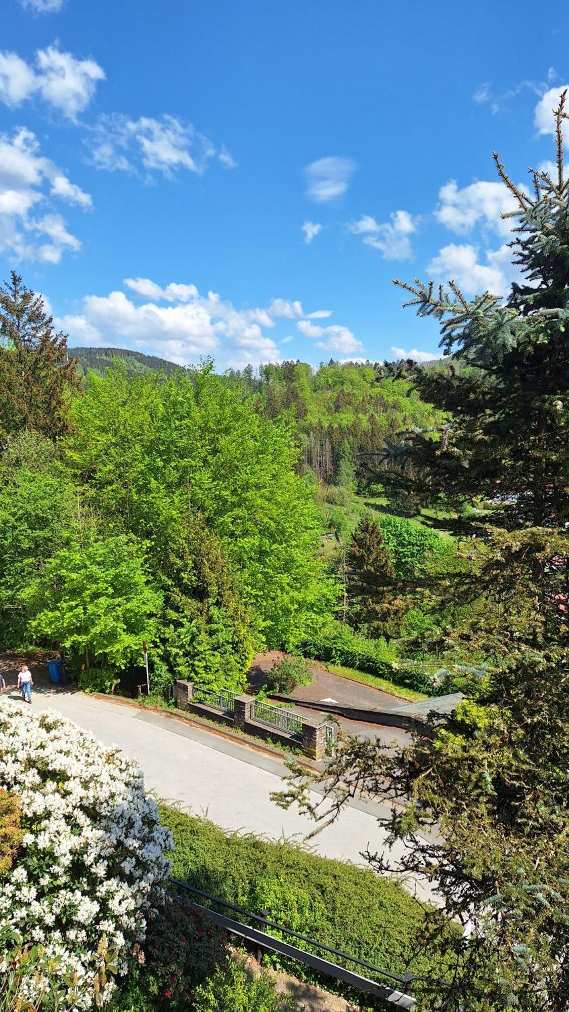 Haus Westharz Goslar Apartment Бад Грунд Екстериор снимка